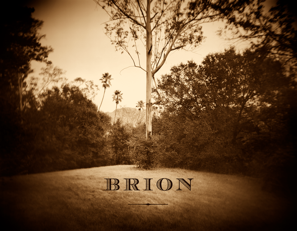 BRION Wines